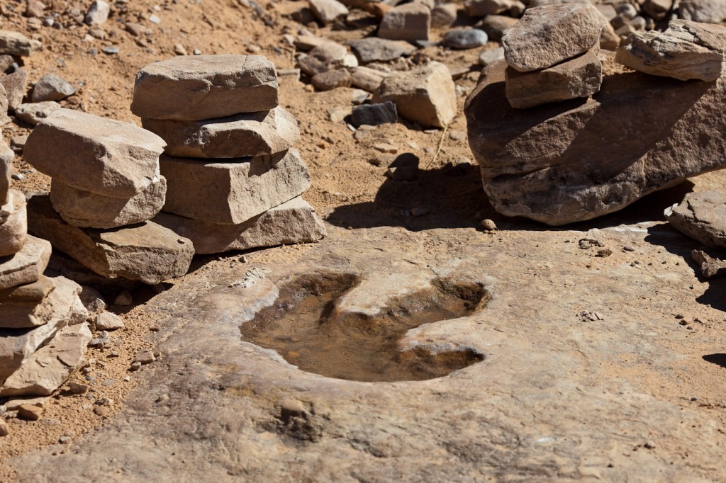 This ancient footprint, first made in soft mud, is an index which shows us the passing of an three-toed Theropod dinosaur.  Denver, Colorado (Image: Wikimedia Commons)  