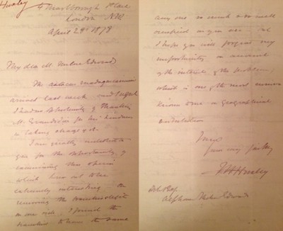 C: Sample of two handwritten letters from Thomas Huxley to the French ornithologist Alphonse Milne-Edwards. The letters appear to form part of Huxley’s research for his book ‘The Crayfish: An introduction to the study of zoology’ (1880). In them, Huxley requests to borrow two specimens of Madagascan crayfish in order to complete his examination of the southern hemisphere forms. (Photo & private collection: Victoria Ling, 2014).