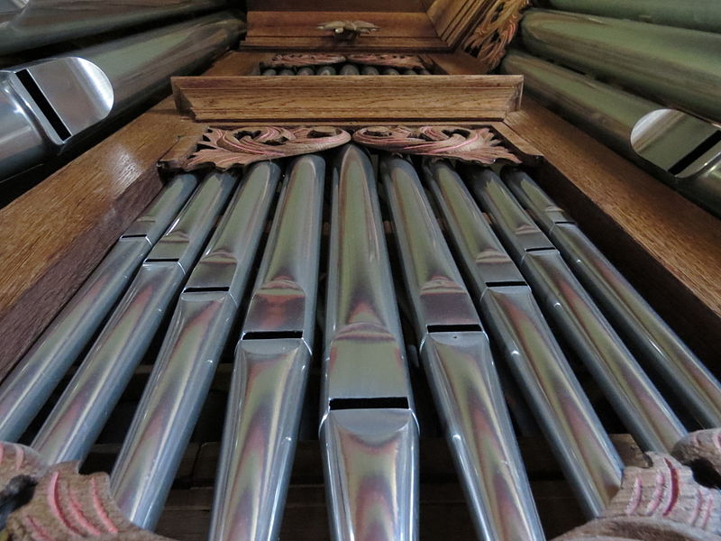 Organ pipes from the old church at Pellworm, Schleswig-Holstein.  Organ pipes produce their note as air passes across the pipe and resonates the air in the cylinder.  Longer pipes produce lower pitch notes.  Male mammals drop their larynx to vocalise, producing a lower pitched call.  The second descent of the human male larynx during puberty deepens a man’s voice (Image: Wikimedia Commons)