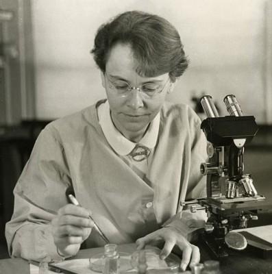 Barbara McClintock in her laboratory in 1947. (Image from the Smithsonian Institution collection via Wikimedia Commons)