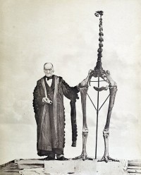 The nineteenth century palaeontologist Richard Owen standing next to the skeleton of a Giant Moa. The image is from Owen's 1879 book Memoirs on the Extinct Wingless Birds of New Zealand (Image: Wikimedia Commons)