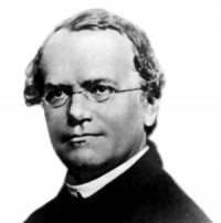 A: Gregor Mendel (Image: Wikimedia Commons)