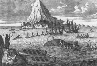 An eighteenth century etching  showing Dutch whalers hunting Bowhead whales (Balaena mysticetus)near Jan Mayen Land in the Arctic ocean.  Bowheads are named for their unusually shaped skull, which they employ to punch through the thick sea ice in order to breathe.   They overwinter and mate in arctic waters, where the males sing to attract a mate.  
Bowheads are second only in size to the blue whale, and are very long-lived.  Stone harpoon heads, which went out of use at the turn of the 19th century, have been found lodged in the bodies of some individuals of today.  
Listen to their calls here.