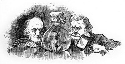 The professional rivalry between Thomas Huxley and Richard Owen was so well known during their time that the writer Charles Kingsley made reference to it in his classic children's book The Water Babies, published in 1863. In this illustration from the 1885 edition, drawn by Linley Sambourne, we see Richard Owen (left) and Thomas Huxley examining a water-baby: "But they would have put it [the water baby] into spirits, or into the Illustrated News, or perhaps cut it into halves, poor dear little thing, and sent one to Professor Owen, and one to Professor Huxley, to see what they would each say about it." (Kingsley, 1889, p.69) (Image by Linley Sambourne via Wikimedia Commons)